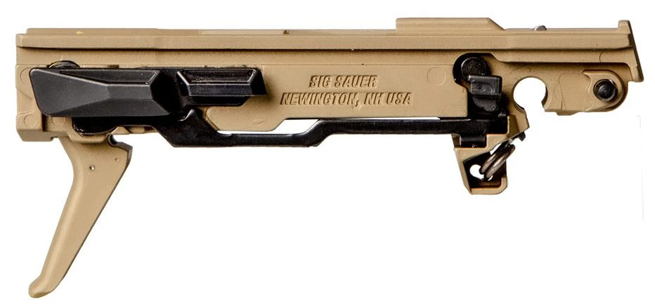 SIG SAUER P365 Frame